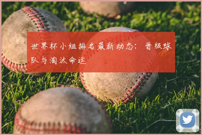 世界杯小组排名最新动态：晋级球队与淘汰命运